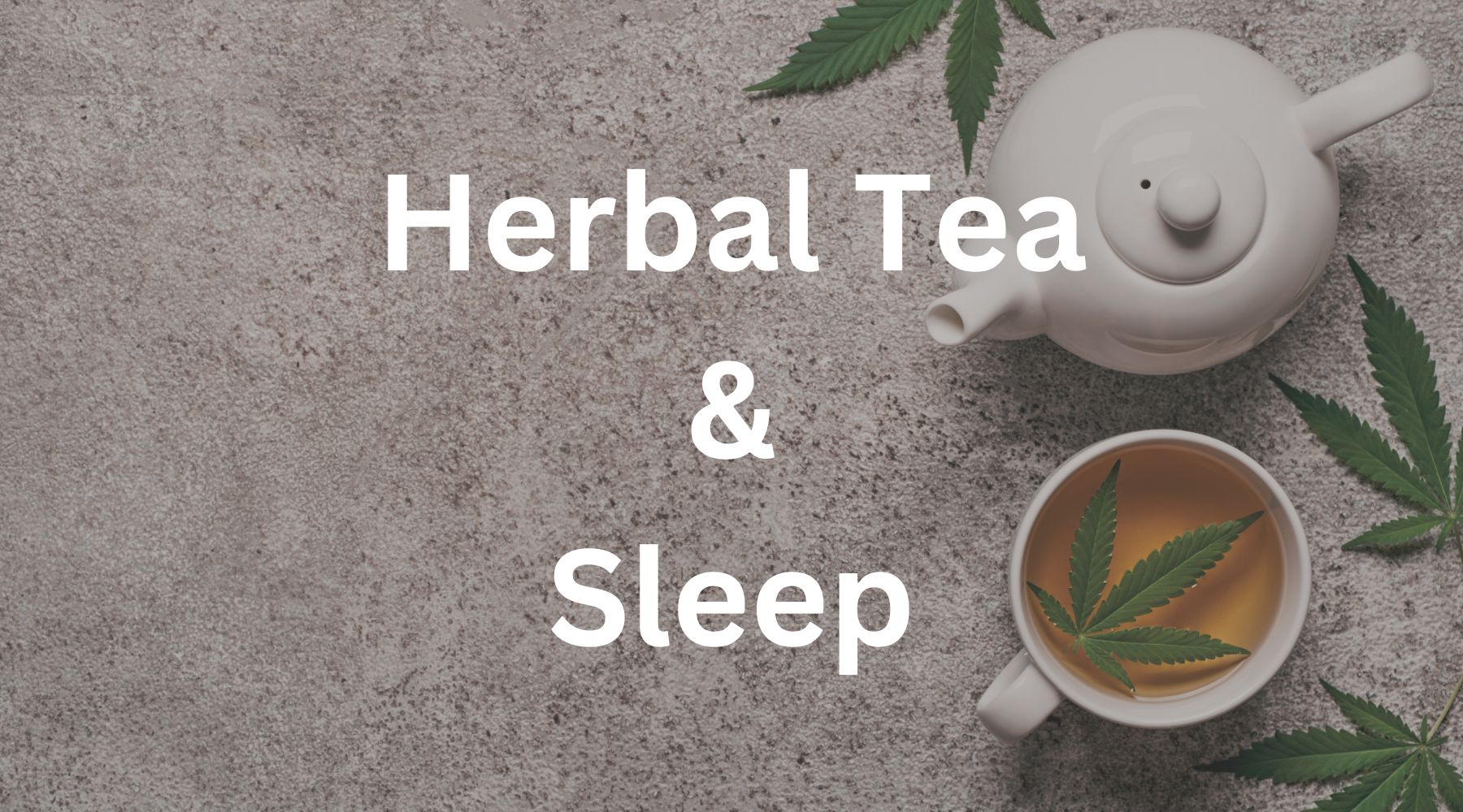 Can Herbal Tea Help With Sleep EnlightenedTea can-herbal-tea-help-with-sleep-enlightenedtea