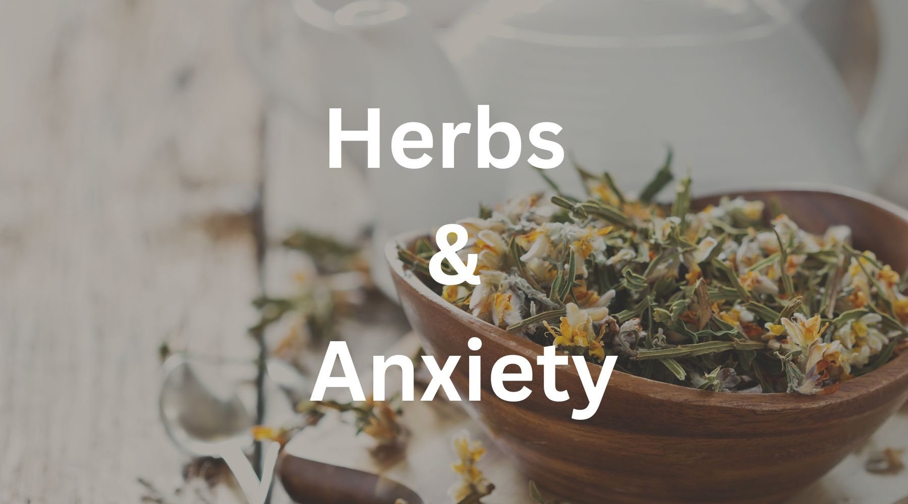 Best Teas for Anxiety – EnlightenedTea