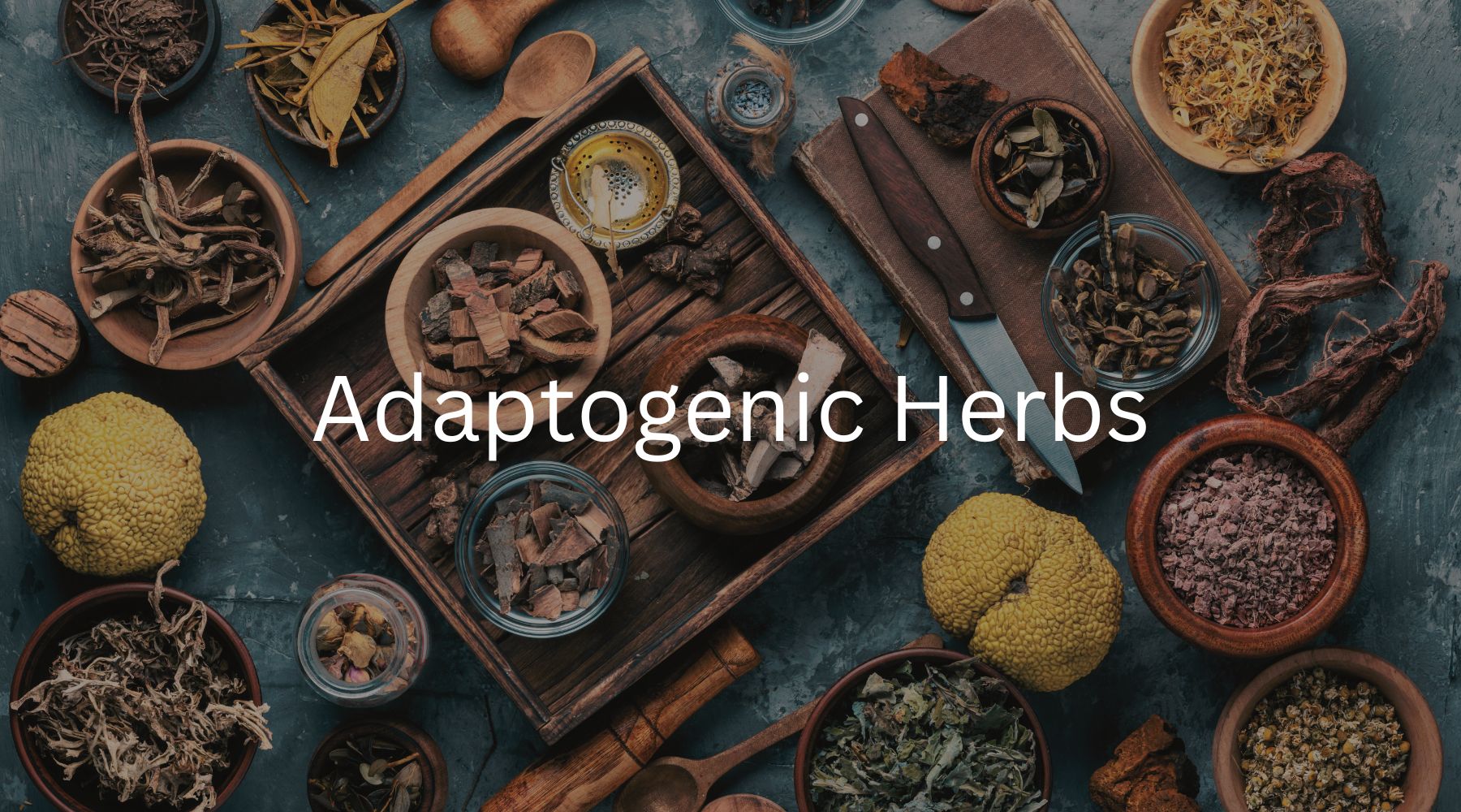 What Are Adaptogenic Herbal Teas? – EnlightenedTea