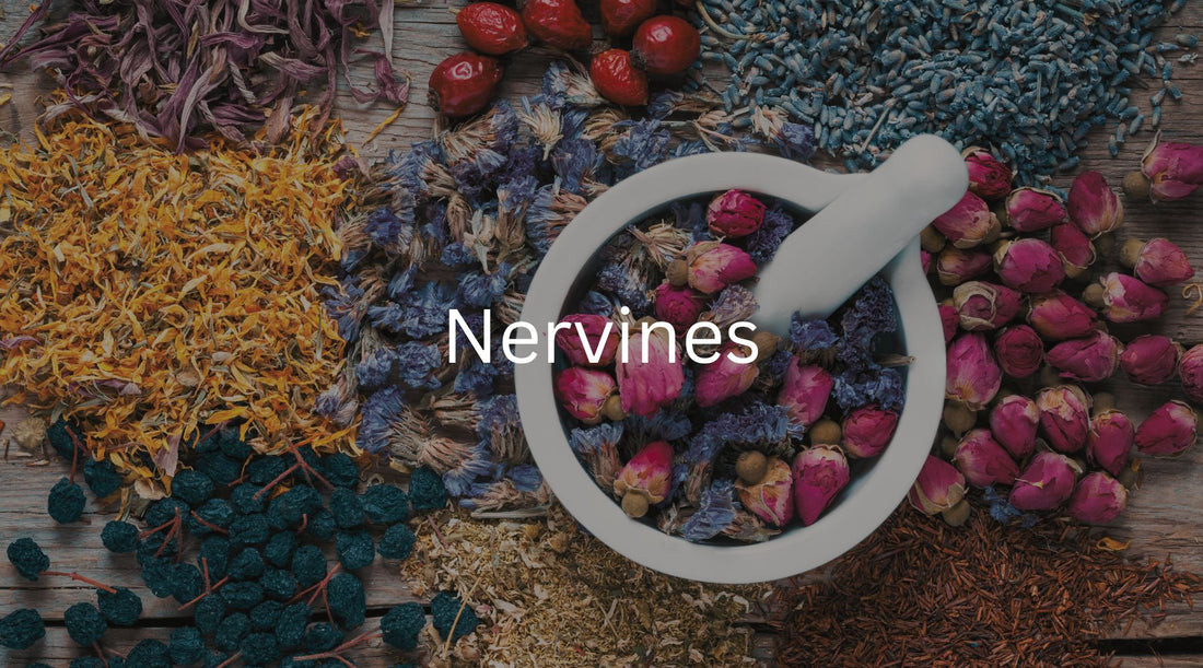 What are nervines? (Functional medicine)