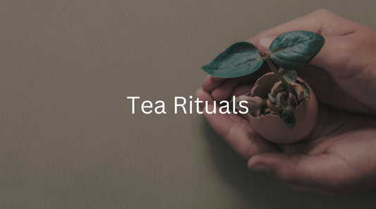 How To Start A Tea Ritual