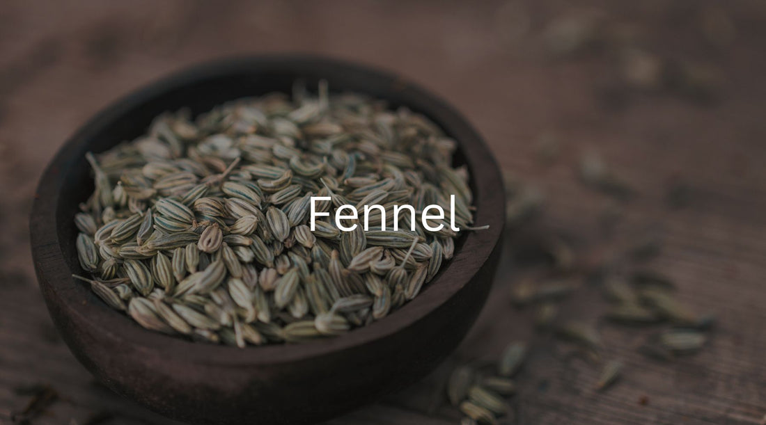 Is Fennel Good For You?