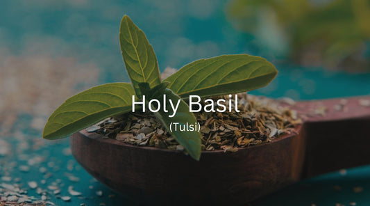 Holy Basil: Adaptogenic Healing for Mind and Body