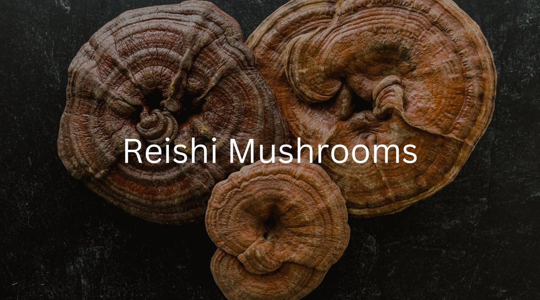 Are reishi mushroom teas good for you?