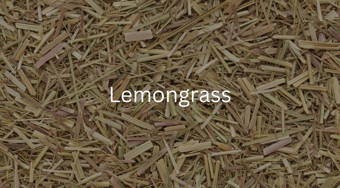 Lemongrass: A Refreshing Herb with Many Benefits