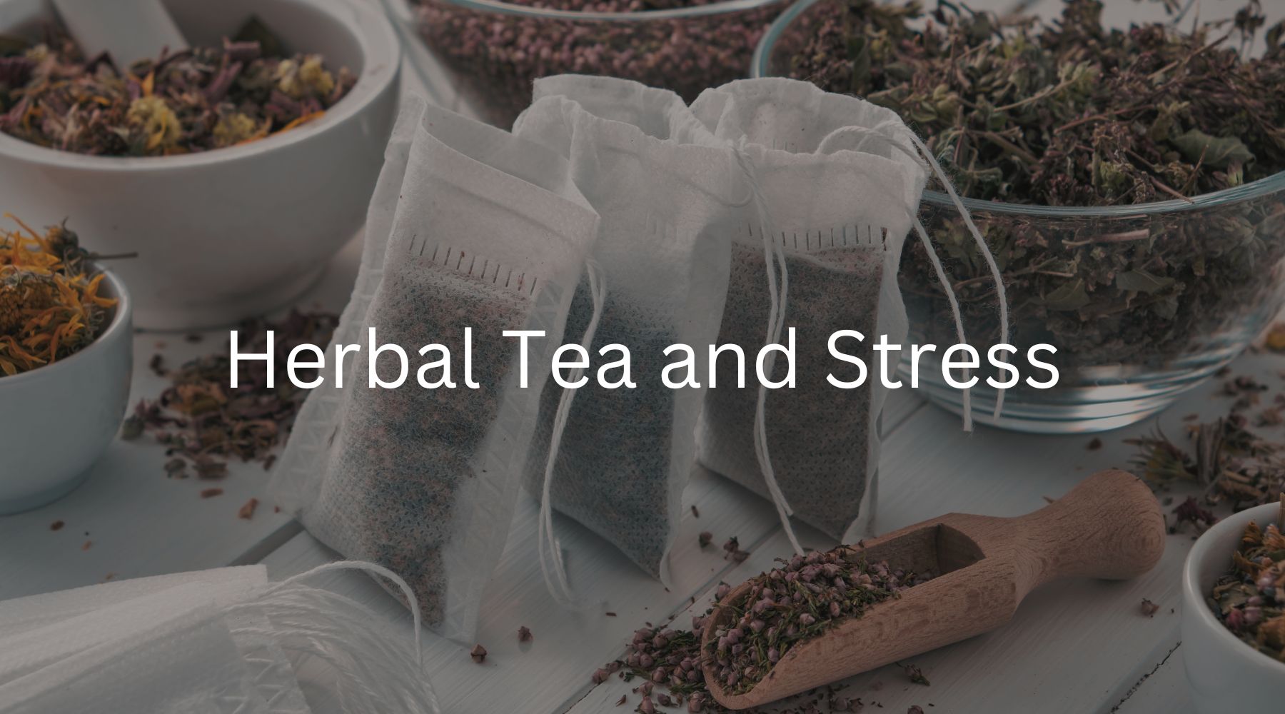 how-does-stress-impact-the-mind-and-body-enlightenedtea