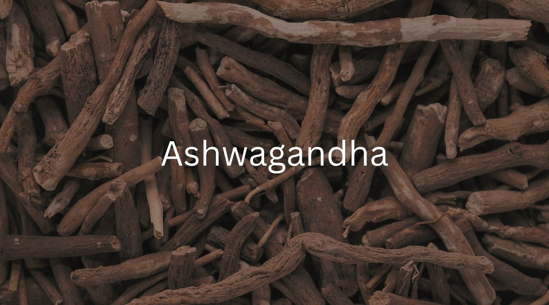 What is ashwagandha tea good for? (Mental health and sleep benefits)