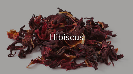 Hibiscus: A Flower for Mind and Body Support