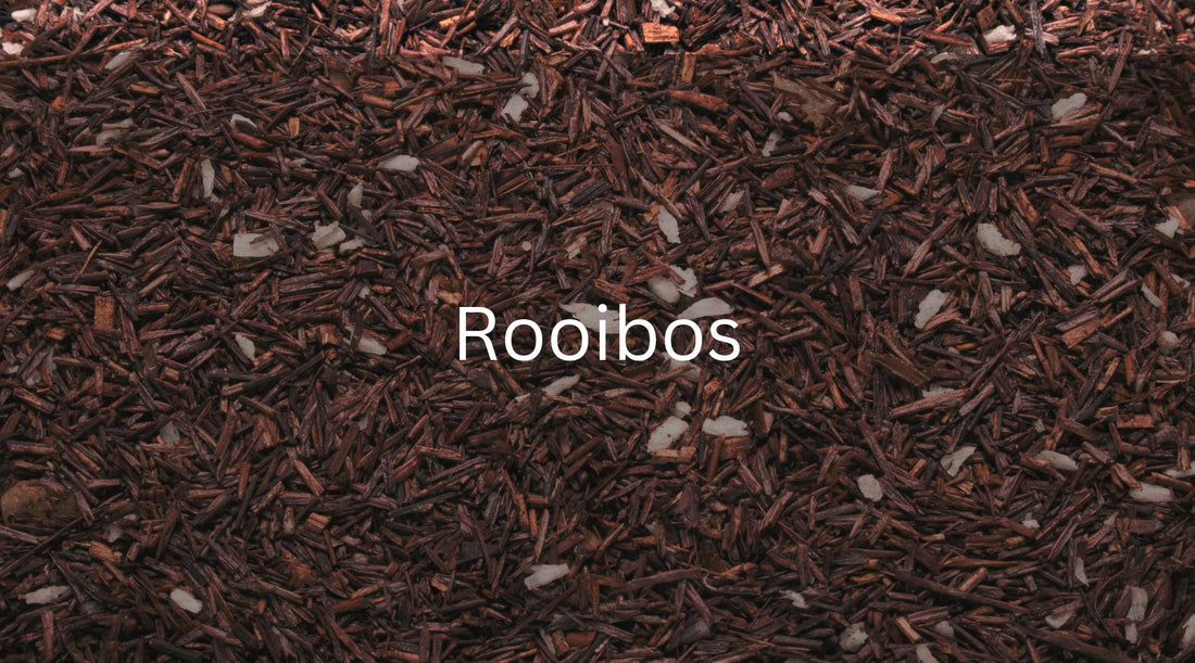 Embracing the Delights of Rooibos: Cultural Uses, Health Benefits, and Mental Well-being