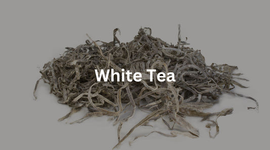 The Wonders of White Tea