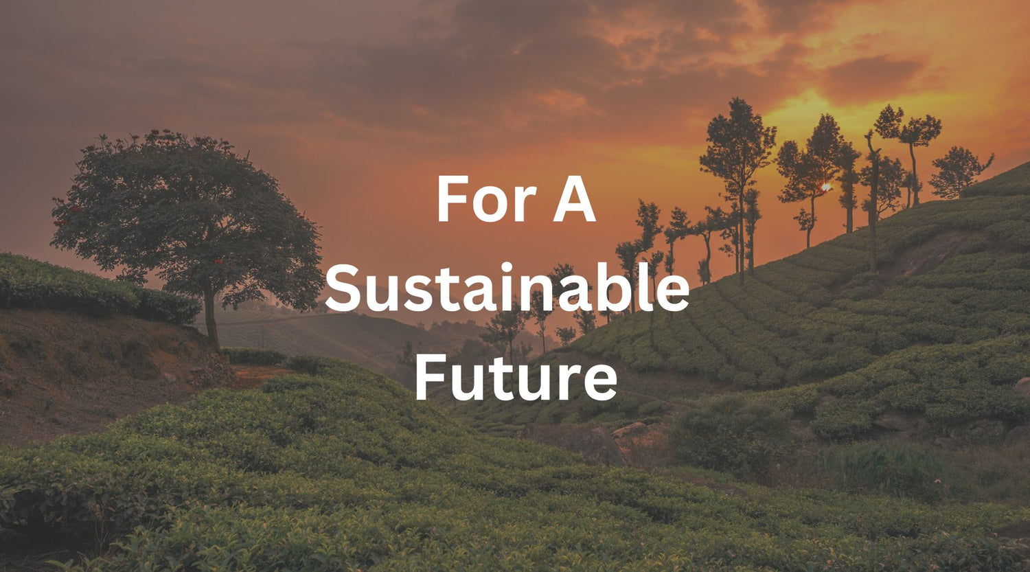 Sustainability and Loose Leaf Herdal Tea